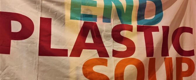 ll Rotary Club Roma Nord Est a Bruxelles per una dimensione europea: progetto ‘End Plastic Soup’ 7 01 IMG 20221206 192541